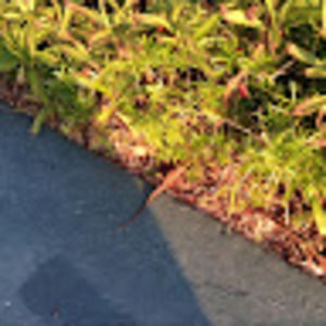 Meet your Posher, Evan